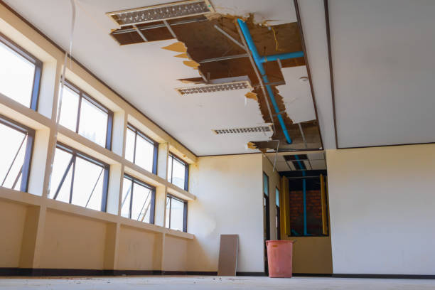 Best Local water damage restoration  in Altamonte Springs, FL