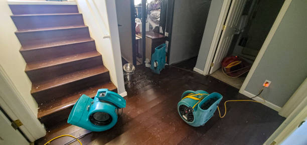 Best Water damage restoration insurance claims  in Altamonte Springs, FL