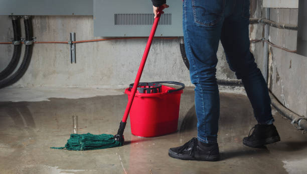 Best 24-hour water damage restoration  in Altamonte Springs, FL