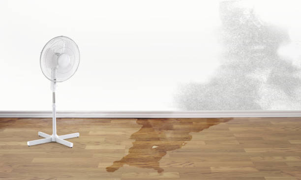 Best Water damage restoration cost  in Altamonte Springs, FL
