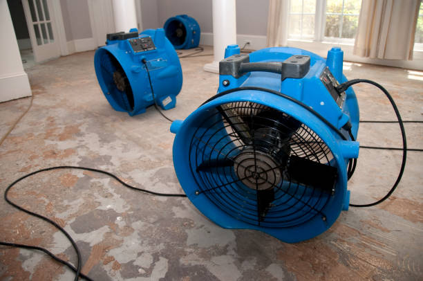 Best Water damage restoration near me  in Altamonte Springs, FL