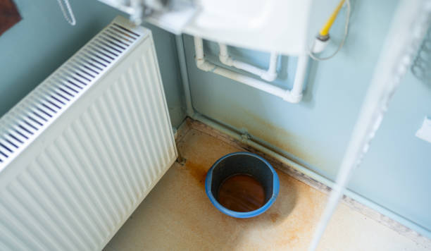 Best Commercial water damage restoration  in Altamonte Springs, FL