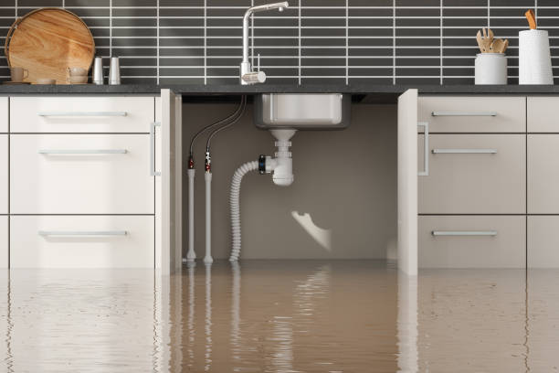 Best 24/7 water damage repair  in Altamonte Springs, FL