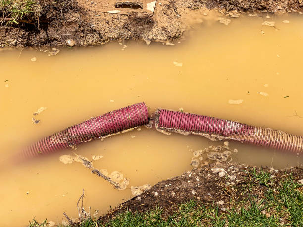 Best Water damage restoration specialists  in Altamonte Springs, FL
